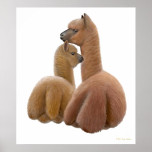 Alpaca Love Print