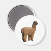 Alpaca magische magneet (Voorkant / Achterkant)