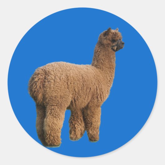 Alpaca magische Sticker (Voorkant)