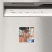 Alpaca Magneet (Insitu (Vaatwasser))