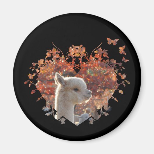 Alpaca Magnet (Voorkant)