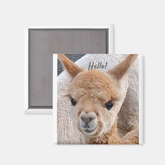 Alpaca magnet (Voorkant / Achterkant)