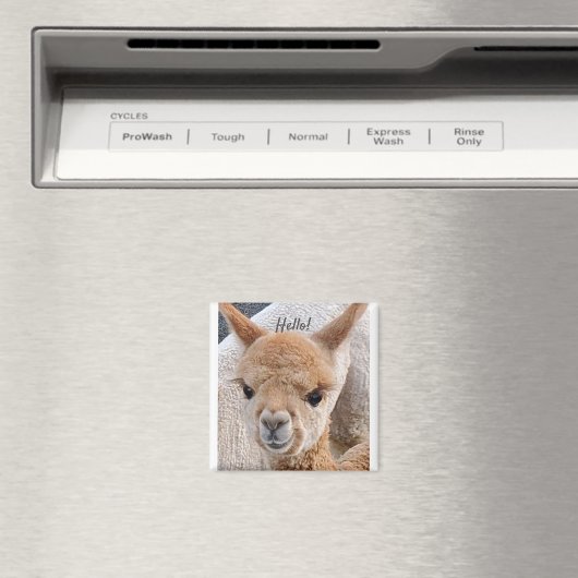 Alpaca magnet (Insitu (Vaatwasser))