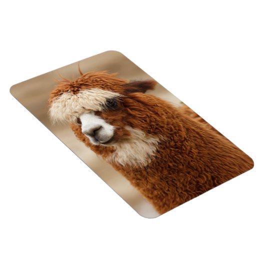 Alpaca magnet magneet (Rechterzijde)