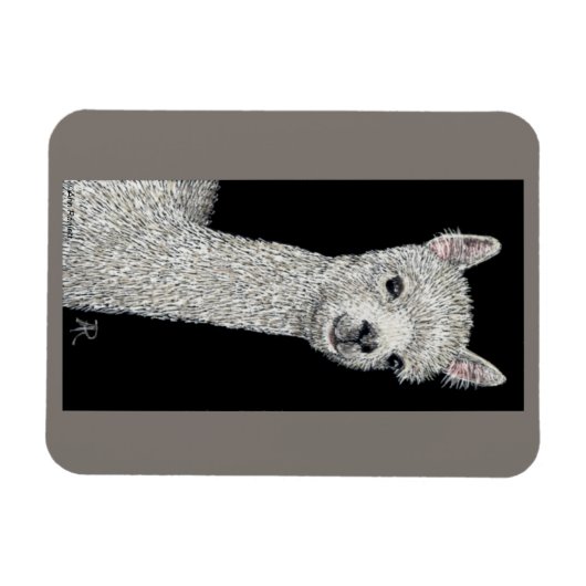 Alpaca Magnet Magneet (Horizontaal)