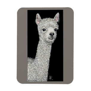 Alpaca Magnet Magneet