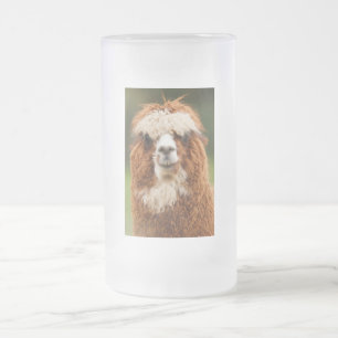 Alpaca Matglas Bierpul