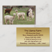 Alpaca Melange ~ biz-kaart Visitekaartje (Voorkant / Achterkant)