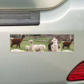 Alpaca Melange ~ Bumpersticker (Op auto)