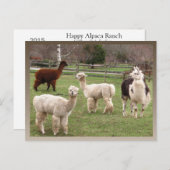 Alpaca Melange-kalender ~ briefkaart (Voorkant / Achterkant)