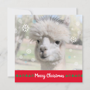 Alpaca Merry Christmas Wenskaart Kaart