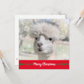 Alpaca Merry Christmas Wenskaart Kaart (Voorkant / Achterkant in situ)