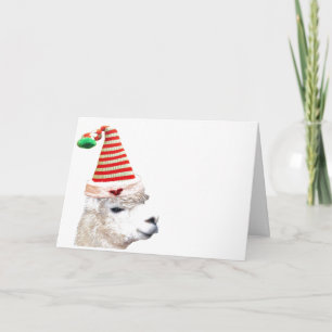 ALPACA MET CHRISTMAS PET CHRISTMAS Kaart