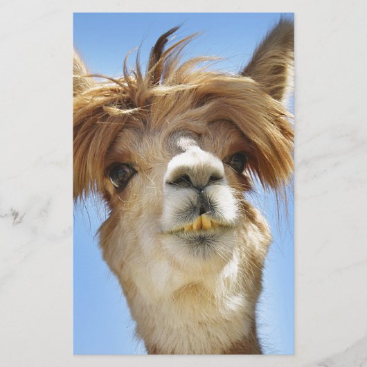 Alpaca met Crazy Hair Briefpapier (Voorkant)