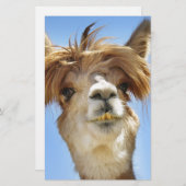 Alpaca met Crazy Hair Briefpapier (Voorkant / Achterkant)