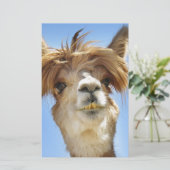 Alpaca met Crazy Hair Briefpapier (Staand voorkant)