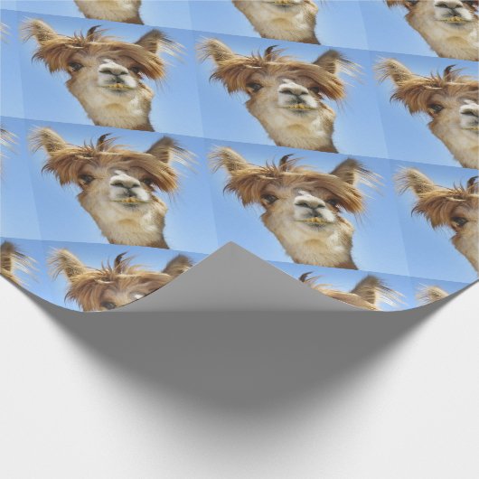 Alpaca met Crazy Hair Cadeaupapier (Hoek)