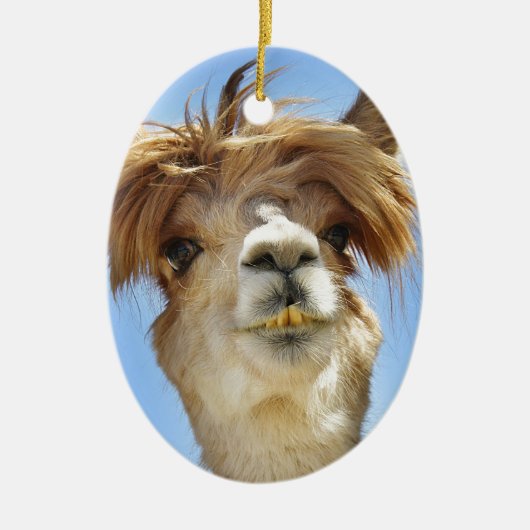 Alpaca met Crazy Hair Keramisch Ornament (Voorkant)