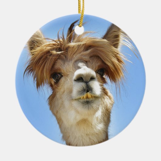Alpaca met Crazy Hair Keramisch Ornament (Voorkant)