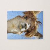 Alpaca met Crazy Hair Legpuzzel (Horizontaal)