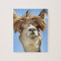 Alpaca met Crazy Hair