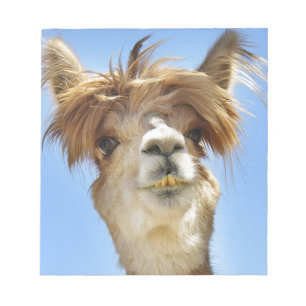 Alpaca met Crazy Hair Notitieblok