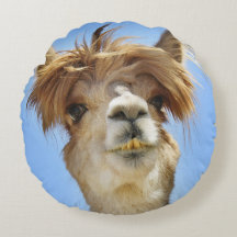 Alpaca met Crazy Hair Pillow