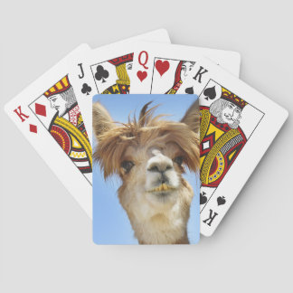 Alpaca met Crazy Hair Pokerkaarten