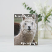 Alpaca Mijn Markeringen voor het Briefkaart van he (Staand voorkant)