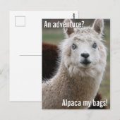 Alpaca Mijn Markeringen voor het Briefkaart van he (Voorkant / Achterkant)