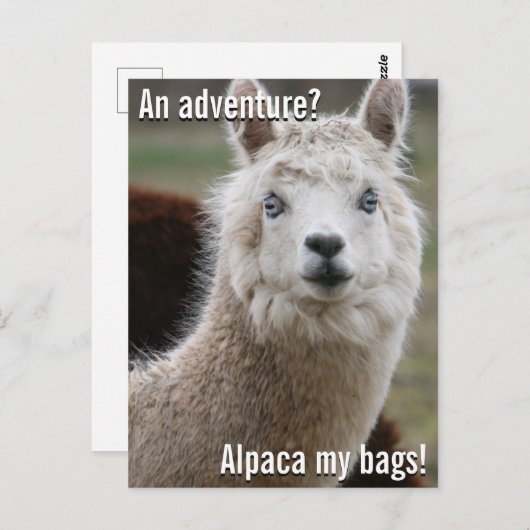 Alpaca Mijn Markeringen voor het Briefkaart van he (Voorkant / Achterkant)