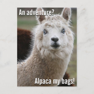 Alpaca Mijn Markeringen voor het Briefkaart van he