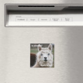 Alpaca Mijn tassen voor de Magnet van het Avontuur (Insitu (Vaatwasser))