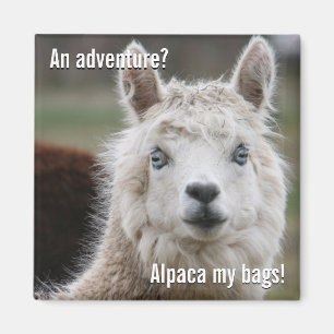 Alpaca Mijn tassen voor de Magnet van het Avontuur