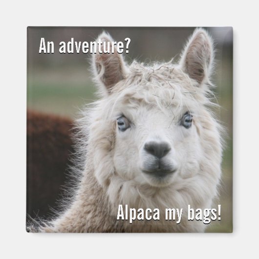 Alpaca Mijn tassen voor de Magnet van het Avontuur (Voorkant)