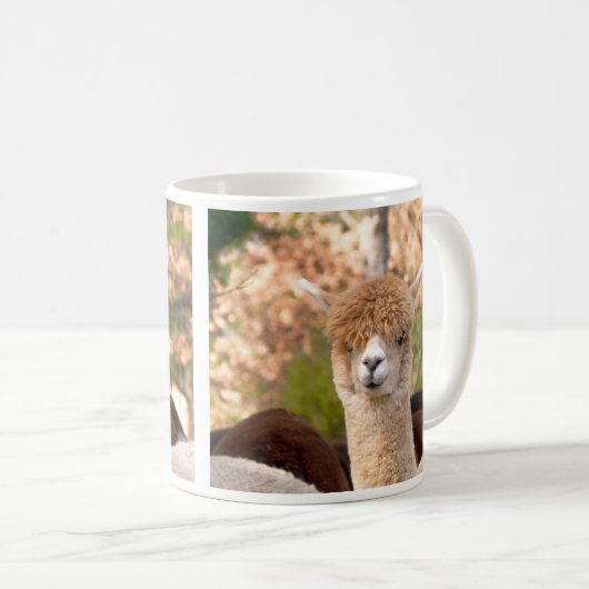 Alpaca Mok Belle (Voorkant rechts)