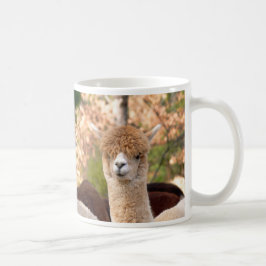 Alpaca Mok Belle