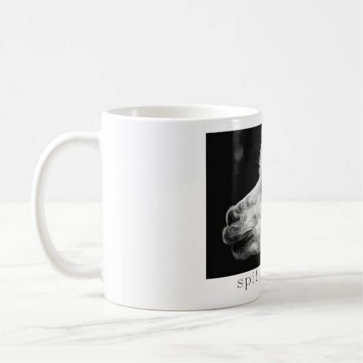 Alpaca Mok - Spit Happens (Links)