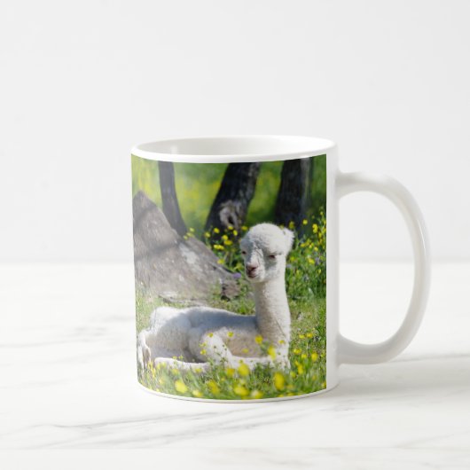 Alpaca-Mokken Koffiemok (Rechts)