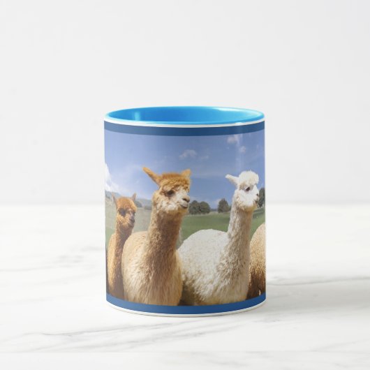Alpaca mokken voor hem (Midden)