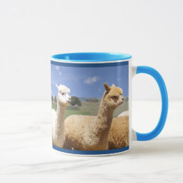 Alpaca mokken voor hem