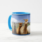 Alpaca mokken voor hem (Voorkant links)