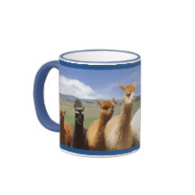 Alpaca mokken voor hem