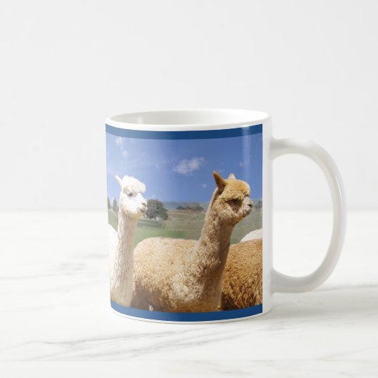 Alpaca mokken voor hem (Rechts)