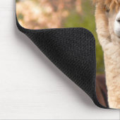 Alpaca Mousepad Belle Muismat (Hoek)