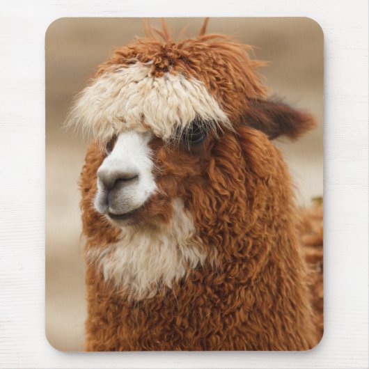 Alpaca mousepad muismat (Voorkant)