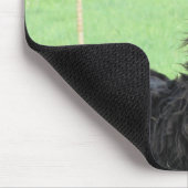 Alpaca, muispad Llama Muismat (Hoek)