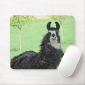 Alpaca, muispad Llama Muismat (Met muis)