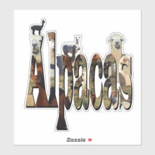 Alpaca-naam met alpacas, sticker