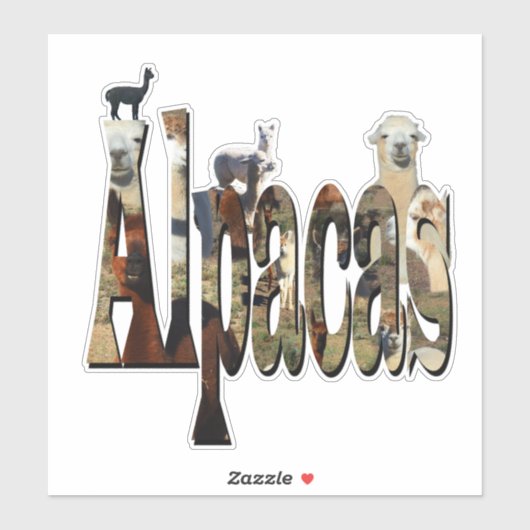 Alpaca-naam met alpacas, sticker (Vel)